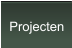 Projecten